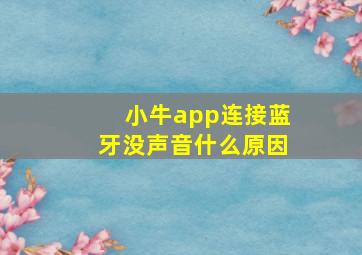 小牛app连接蓝牙没声音什么原因