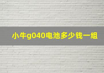 小牛g040电池多少钱一组