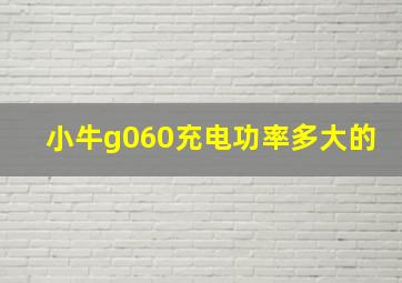 小牛g060充电功率多大的