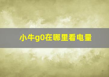 小牛g0在哪里看电量