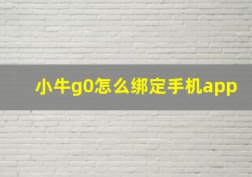 小牛g0怎么绑定手机app