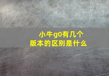 小牛g0有几个版本的区别是什么