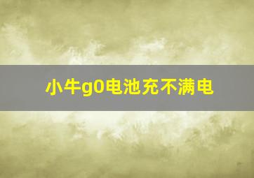 小牛g0电池充不满电