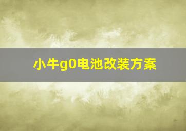 小牛g0电池改装方案