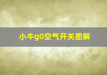 小牛g0空气开关图解