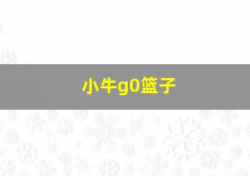 小牛g0篮子