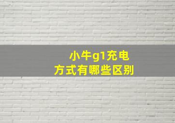 小牛g1充电方式有哪些区别