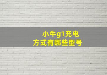 小牛g1充电方式有哪些型号