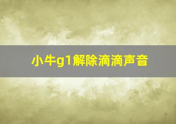 小牛g1解除滴滴声音