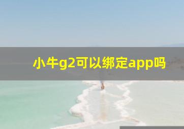 小牛g2可以绑定app吗