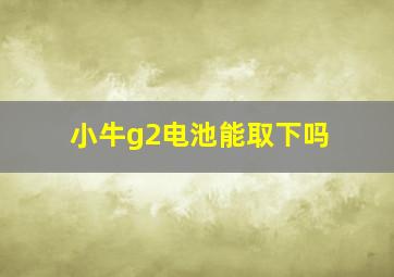 小牛g2电池能取下吗