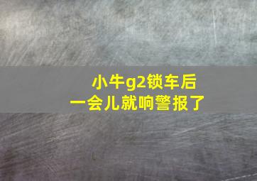 小牛g2锁车后一会儿就响警报了