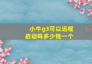 小牛g3可以远程启动吗多少钱一个