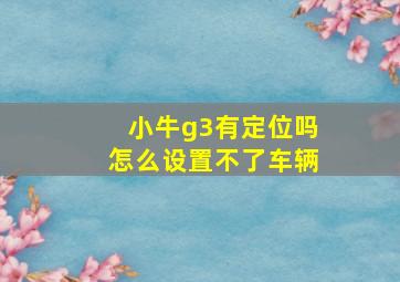 小牛g3有定位吗怎么设置不了车辆