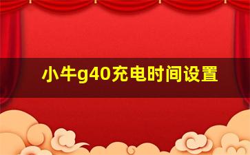 小牛g40充电时间设置