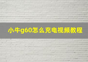 小牛g60怎么充电视频教程