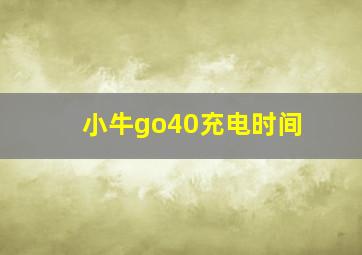 小牛go40充电时间