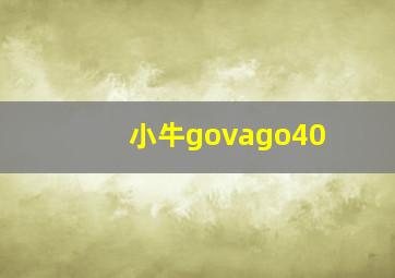 小牛govago40