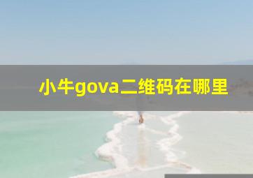 小牛gova二维码在哪里