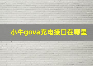 小牛gova充电接口在哪里