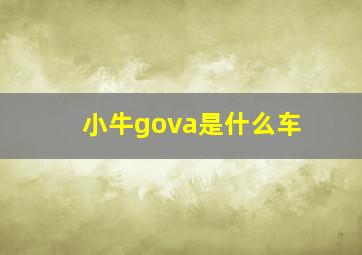 小牛gova是什么车