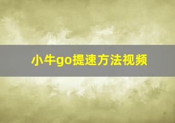 小牛go提速方法视频