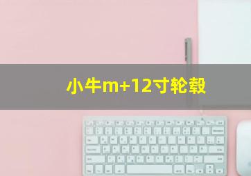 小牛m+12寸轮毂