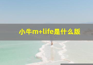 小牛m+life是什么版