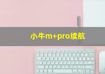 小牛m+pro续航