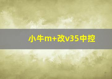 小牛m+改v35中控