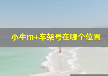 小牛m+车架号在哪个位置