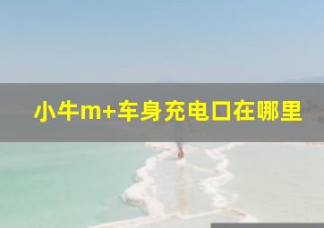 小牛m+车身充电口在哪里