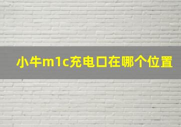 小牛m1c充电口在哪个位置