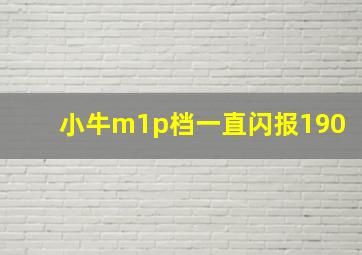 小牛m1p档一直闪报190