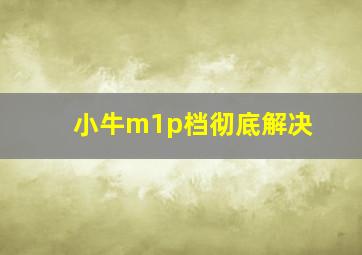 小牛m1p档彻底解决