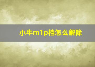 小牛m1p档怎么解除