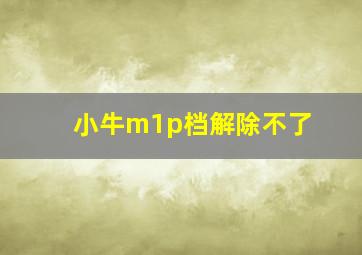 小牛m1p档解除不了