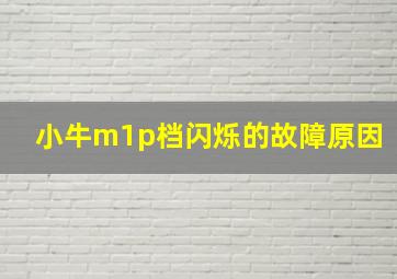 小牛m1p档闪烁的故障原因