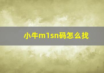 小牛m1sn码怎么找