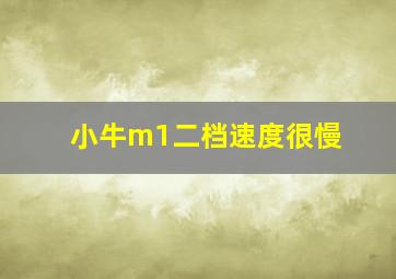 小牛m1二档速度很慢