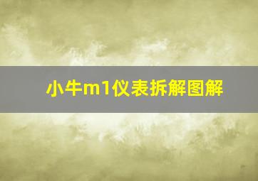 小牛m1仪表拆解图解