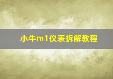 小牛m1仪表拆解教程