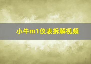 小牛m1仪表拆解视频