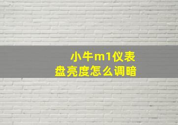 小牛m1仪表盘亮度怎么调暗