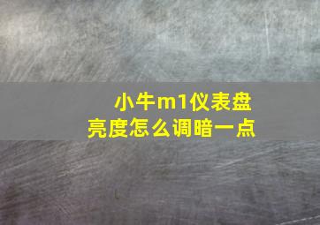 小牛m1仪表盘亮度怎么调暗一点