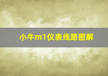 小牛m1仪表线路图解