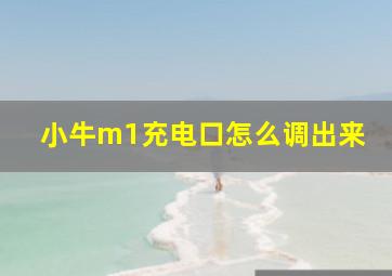 小牛m1充电口怎么调出来