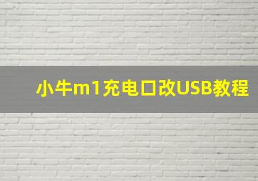 小牛m1充电口改USB教程