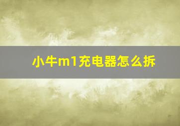 小牛m1充电器怎么拆