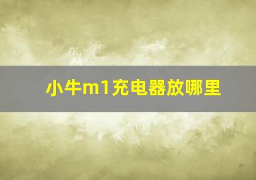 小牛m1充电器放哪里